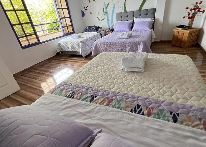 Nuevo Hotel Morada En El Centro Del Eje Cafetero